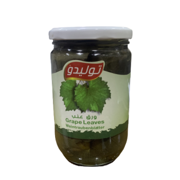 ورق عنب توليدو*12