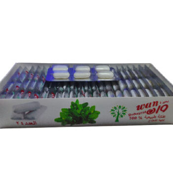 علك كبسوله نعناع*24