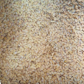 حب تركي درجه اولا*5كغم